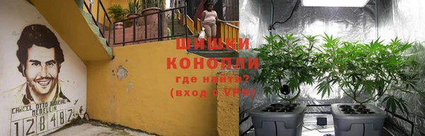 спиды Алзамай